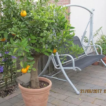 Garden Of Eden